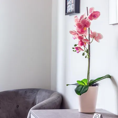 Vakantiehuis Silk & Sunset - And View With Parking Como